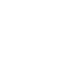 bished_logomark_FF_top_white_2